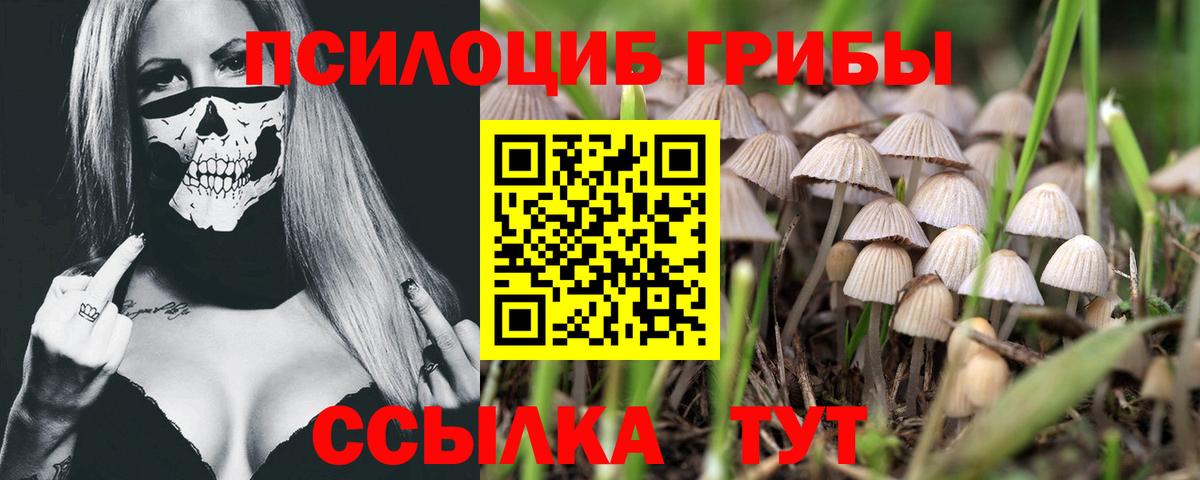 Галлюциногенные грибы MAGIC MUSHROOMS  Вход с VPN  Курчатов 